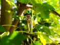 /album/fotogalerie-moje-outside-prace-/martinh-collection-outdoorphotos-september-2025-3-jpg/